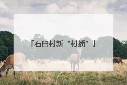 石臼村新“村播”
