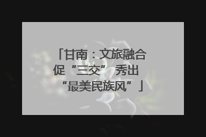 甘南：文旅融合促“三交” 秀出“最美民族风”