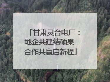 甘肃灵台电厂：地企共建结硕果 合作共赢启新程