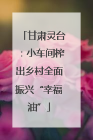 甘肃灵台：小车间榨出乡村全面振兴“幸福油”