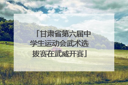 甘肃省第六届中学生运动会武术选拔赛在武威开赛