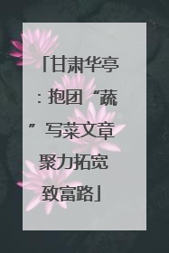 甘肃华亭：抱团“蔬”写菜文章 聚力拓宽致富路