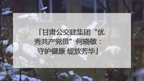 甘肃公交建集团“优秀共产党员”何晓敏：守护健康 绽放芳华