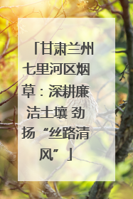 甘肃兰州七里河区烟草：深耕廉洁土壤 劲扬“丝路清风”