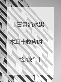 甘肃清水黑木耳丰收应时“绽放”