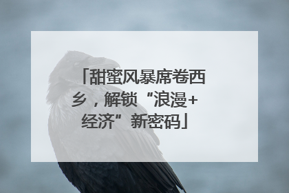 甜蜜风暴席卷西乡，解锁“浪漫+经济”新密码