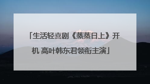生活轻喜剧《蒸蒸日上》开机 高叶韩东君领衔主演