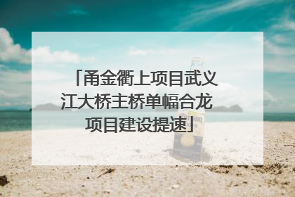 甬金衢上项目武义江大桥主桥单幅合龙 项目建设提速