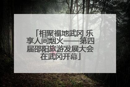 相聚福地武冈 乐享人间烟火——第四届邵阳旅游发展大会在武冈开幕