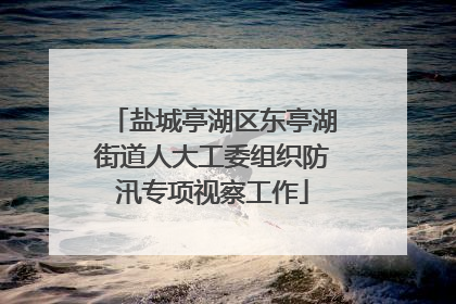 盐城亭湖区东亭湖街道人大工委组织防汛专项视察工作