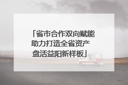 省市合作双向赋能 助力打造全省资产盘活益阳新样板