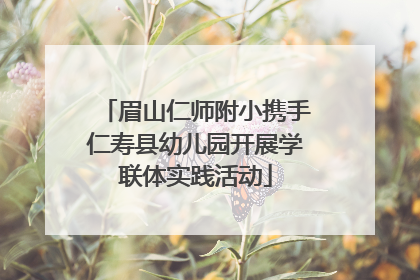 眉山仁师附小携手仁寿县幼儿园开展学联体实践活动