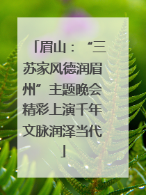 眉山：“三苏家风德润眉州”主题晚会精彩上演千年文脉润泽当代