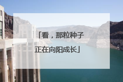 看，那粒种子正在向阳成长
