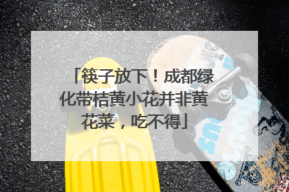 筷子放下！成都绿化带桔黄小花并非黄花菜，吃不得