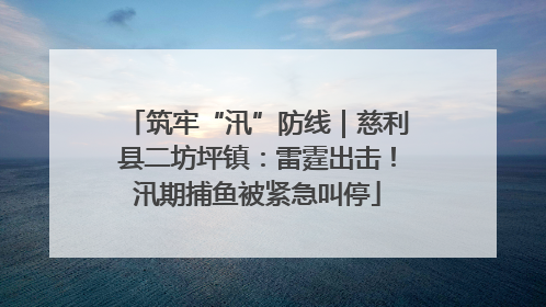 筑牢“汛”防线｜慈利县二坊坪镇：雷霆出击！汛期捕鱼被紧急叫停