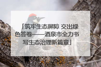 筑牢生态屏障 交出绿色答卷——酒泉市全力书写生态治理新篇章
