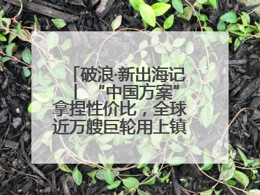 破浪·新出海记丨 “中国方案”拿捏性价比，全球近万艘巨轮用上镇江“节能桨”
