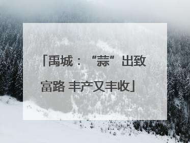 禹城：“蒜”出致富路 丰产又丰收