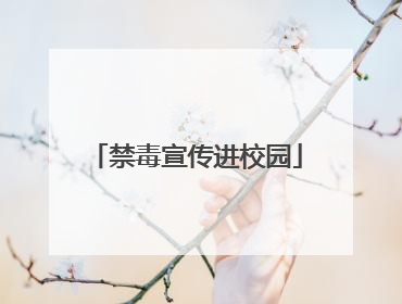 禁毒宣传进校园