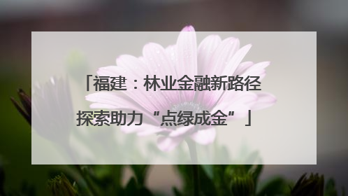 福建：林业金融新路径探索助力“点绿成金”