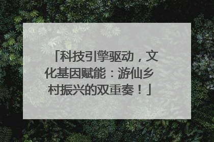 科技引擎驱动，文化基因赋能：游仙乡村振兴的双重奏！