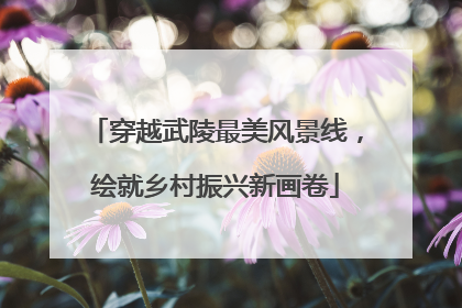 穿越武陵最美风景线，绘就乡村振兴新画卷