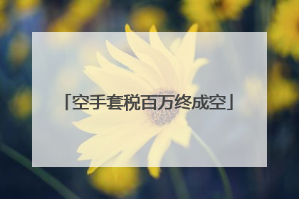 空手套税百万终成空