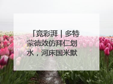 竞彩湃｜多特蒙德效仿拜仁划水，河床国米默契过关？