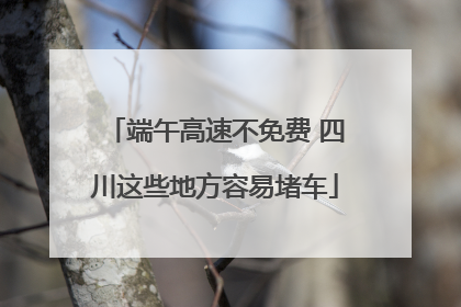 端午高速不免费 四川这些地方容易堵车