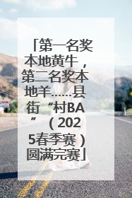 第一名奖本地黄牛，第二名奖本地羊……县街“村BA”（2025春季赛）圆满完赛