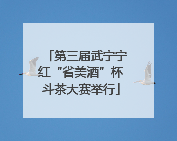 第三届武宁宁红“省美酒”杯斗茶大赛举行