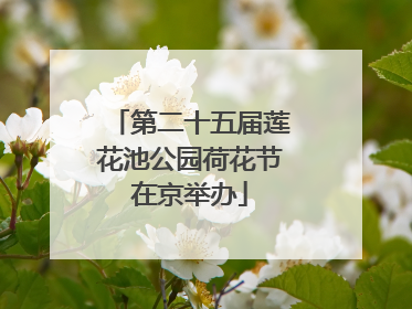 第二十五届莲花池公园荷花节在京举办