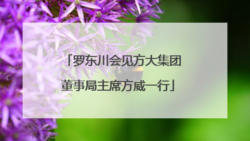 罗东川会见方大集团董事局主席方威一行