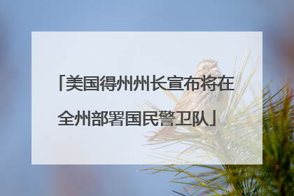 美国得州州长宣布将在全州部署国民警卫队