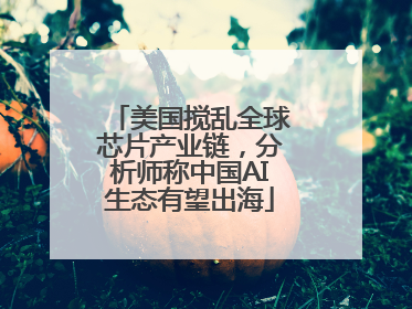 美国搅乱全球芯片产业链，分析师称中国AI生态有望出海