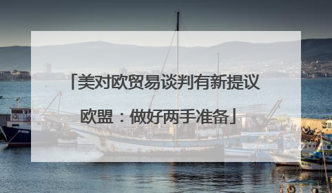 美对欧贸易谈判有新提议 欧盟：做好两手准备