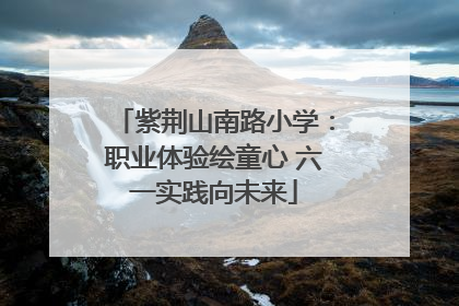 紫荆山南路小学：职业体验绘童心 六一实践向未来