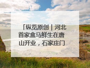 纵览原创｜河北首家盒马鲜生在唐山开业，石家庄门店预计8月开业