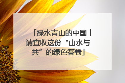 绿水青山的中国丨请查收这份“山水与共”的绿色答卷