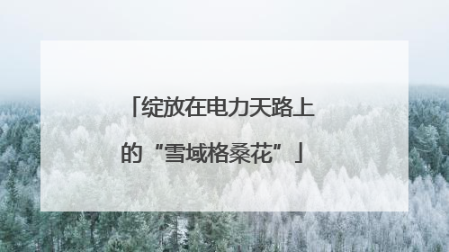 绽放在电力天路上的“雪域格桑花”