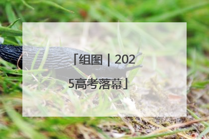组图｜2025高考落幕