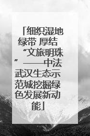 细织湿地绿带 厚结“文旅明珠”——中法武汉生态示范城挖掘绿色发展新动能
