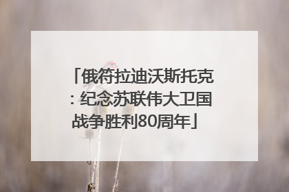 俄符拉迪沃斯托克：纪念苏联伟大卫国战争胜利80周年