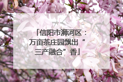 信阳市浉河区：万亩茶庄园飘出“三产融合”香