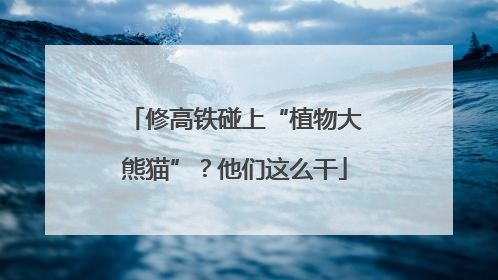 修高铁碰上“植物大熊猫”？他们这么干