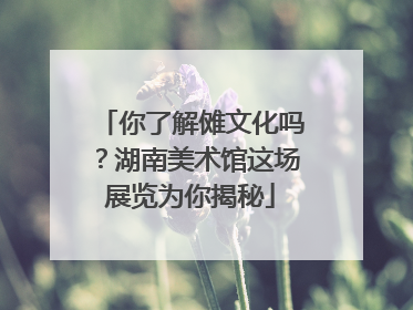 你了解傩文化吗？湖南美术馆这场展览为你揭秘