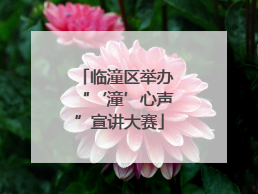 临潼区举办“‘潼’心声”宣讲大赛