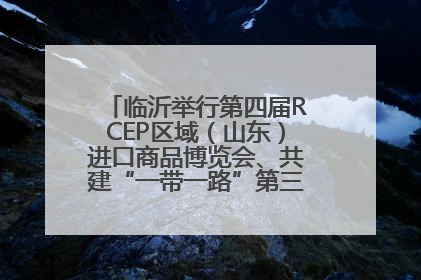 临沂举行第四届RCEP区域（山东）进口商品博览会、共建“一带一路”第三届临沂商城国际采购商大会新闻发布会