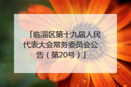 临淄区第十九届人民代表大会常务委员会公告（第20号）